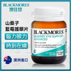 澳洲 Blackmores 澳佳寶山桑子藍莓護眼素30粒（加強版）