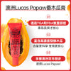澳洲 Lucas Papaw 神奇萬用木瓜膏